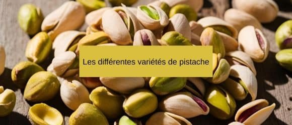 You are currently viewing Les différentes variétés de pistaches