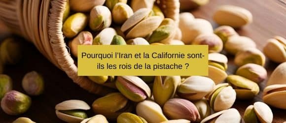 Lire la suite à propos de l’article Pourquoi l’Iran et la Californie sont-ils les rois de la pistache ?